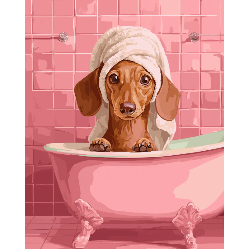 Dachshund in bath | Paint by Number