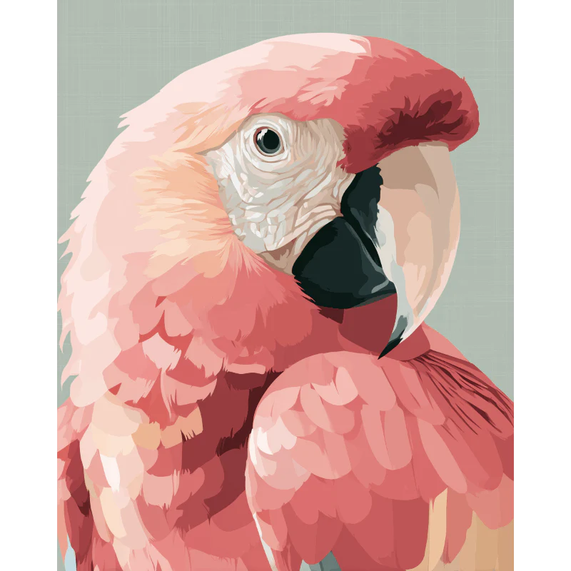 Pink Ara | Paint by Number